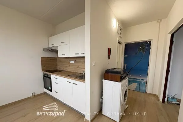Pronájem bytu 1+1 35 m², Plzeň - Bolevec